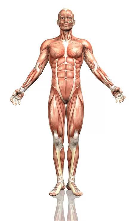 Body chart for marking treatment areas