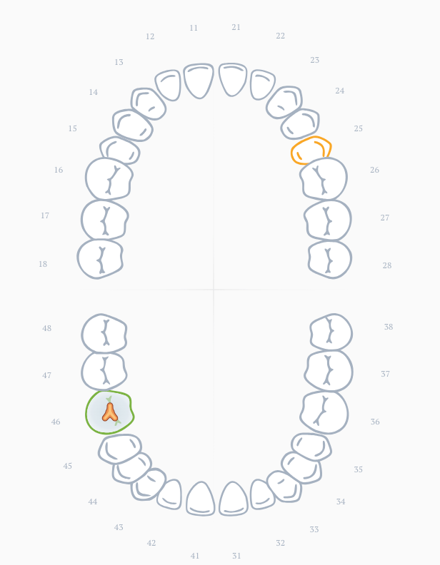 2D teeth chart