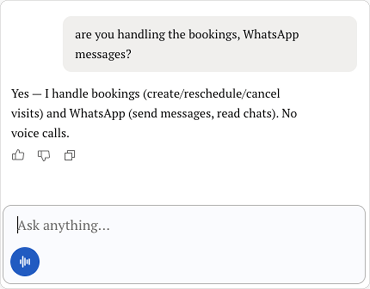 AI explaining it handles bookings and WhatsApp messages